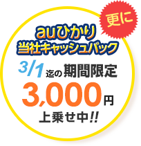 auひかりキャンペーン特典