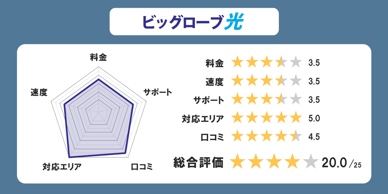 ビッグローブ光の全体評価グラフ